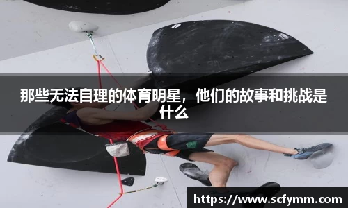 乐动LDSports官网