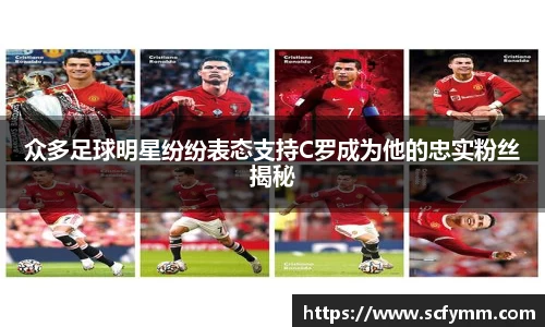 乐动LDSports官网