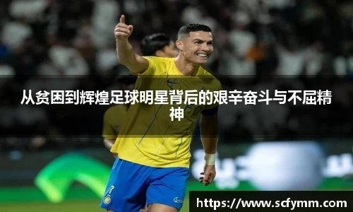 乐动LDSports官网